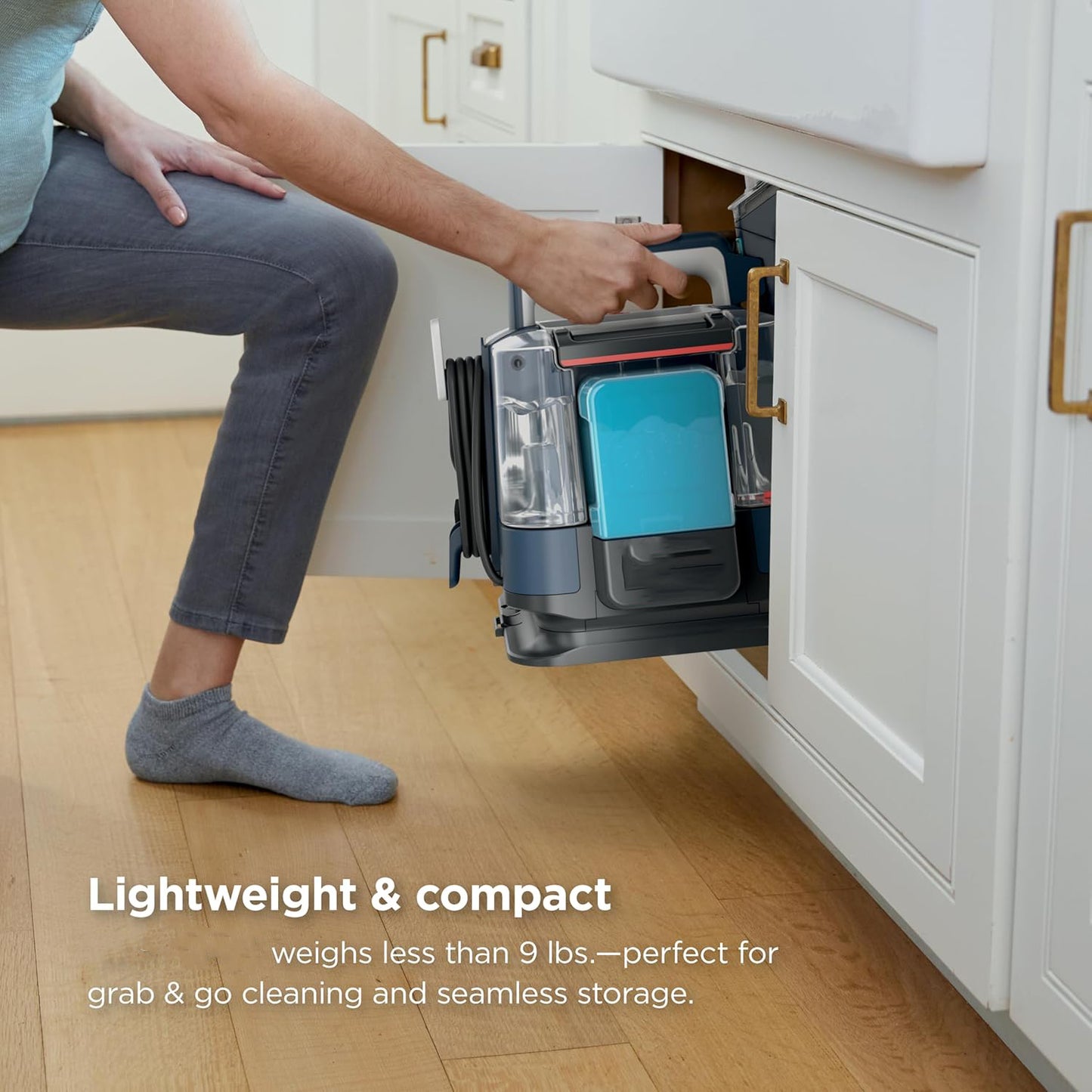 Portable Carpet & Upholstery Cleaner