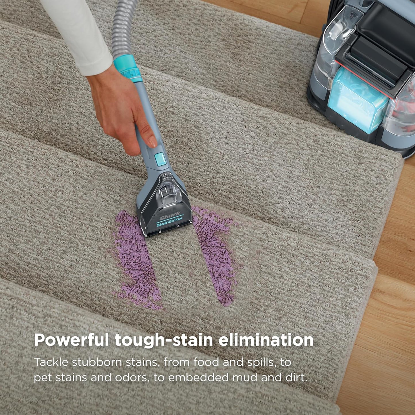 Portable Carpet & Upholstery Cleaner